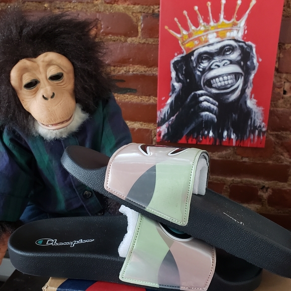 Champion Slides - Picture 5 of 9